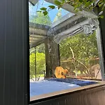 Tree House