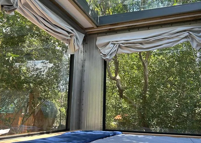 Tree House